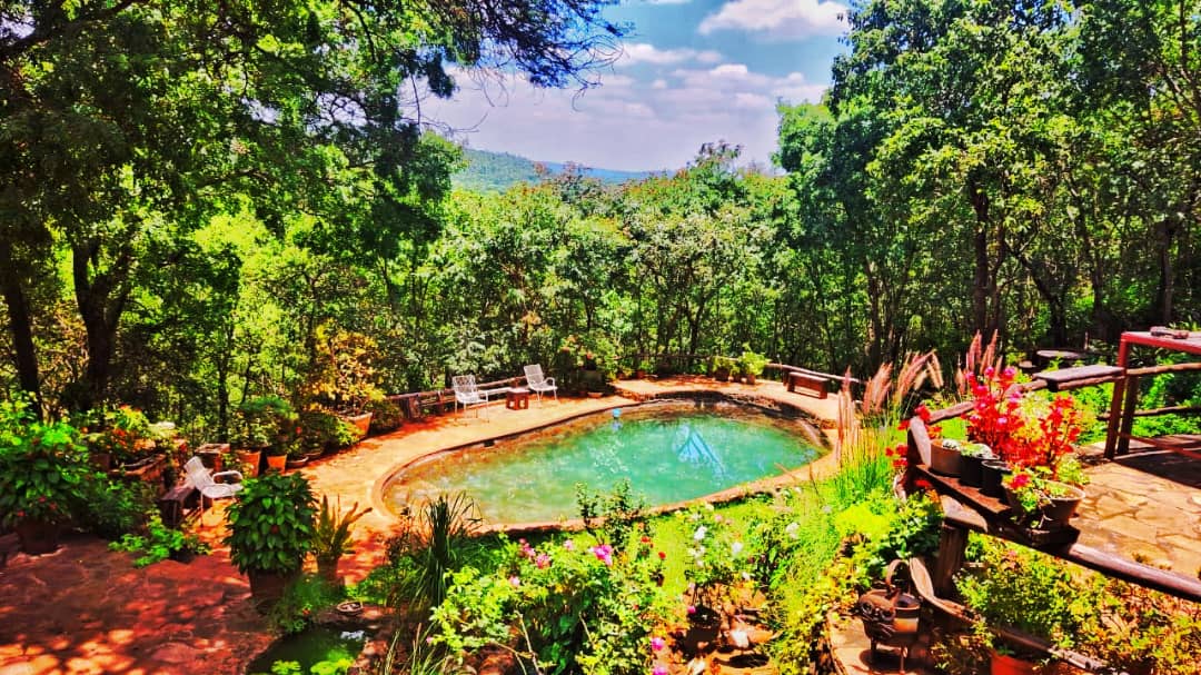 swimming pool with Surrounding nature